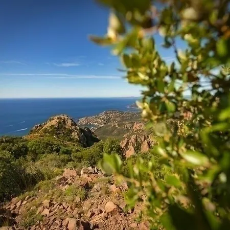 Cap Esterel- Pv Saint-Raphaël